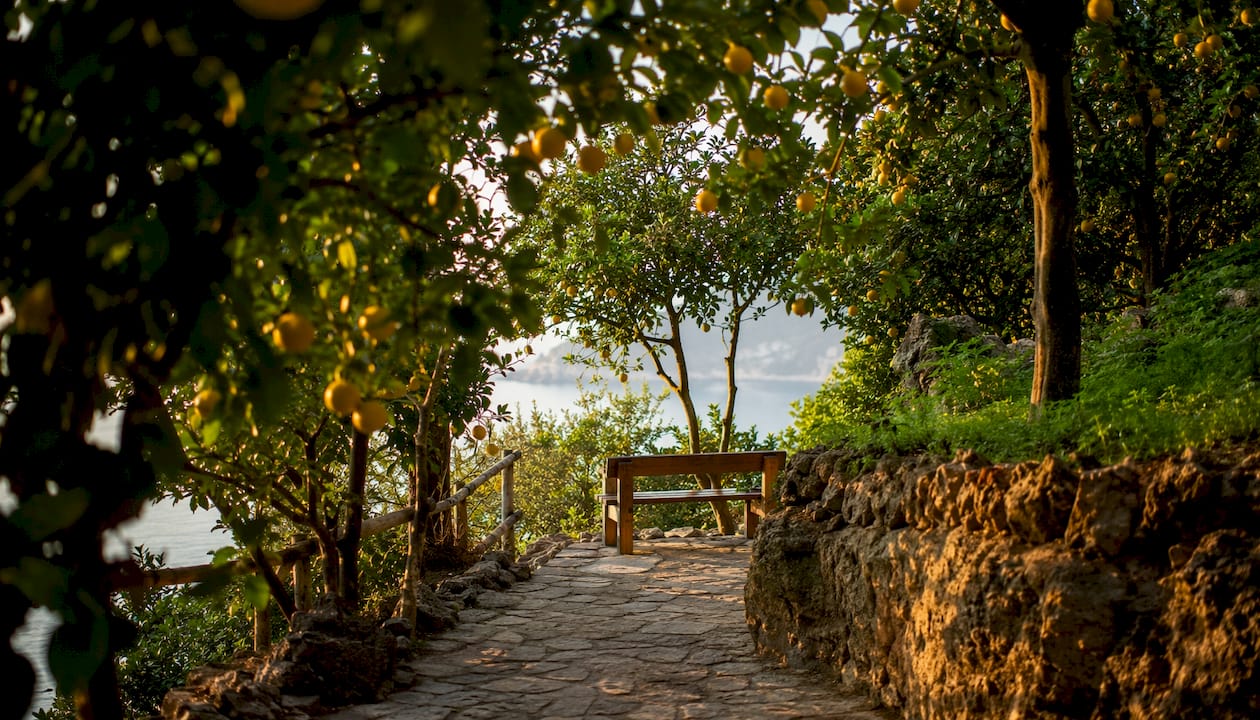 Golden hour view of Villa Comunale cliff-top gardens